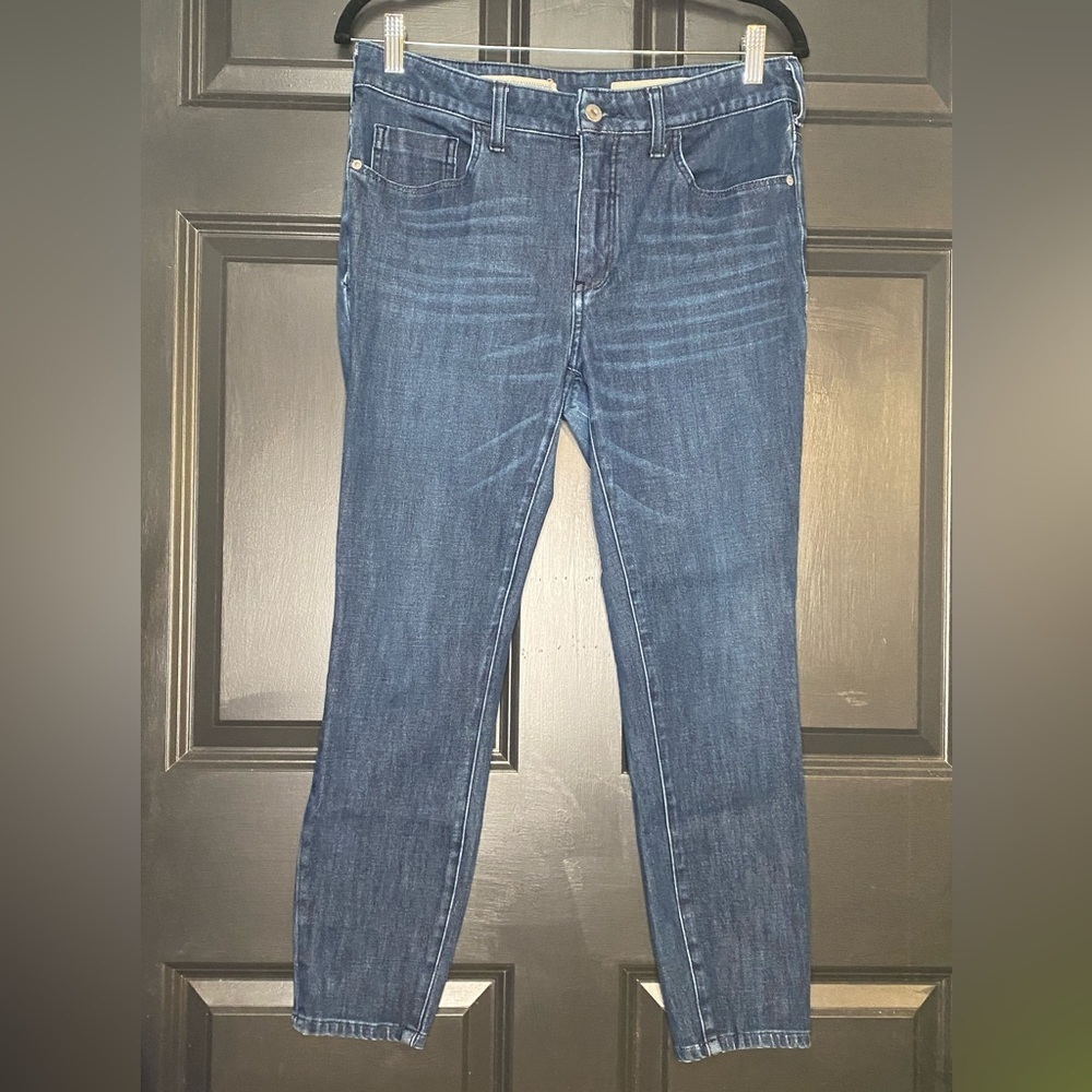 Pilcro & The Letterpress by Anthropologie High Rise Denim Legging Jeans Size 30